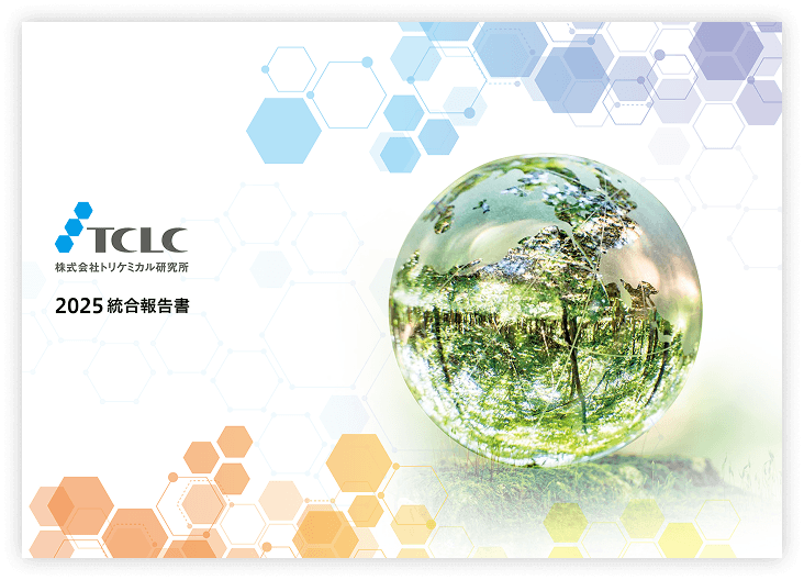 Integrated Report 2025